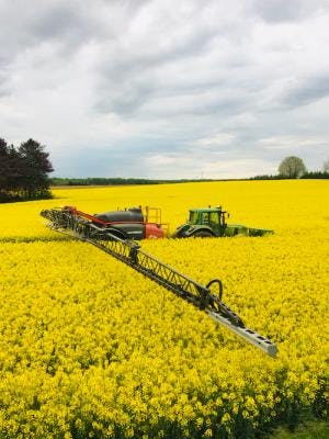A tractor sprays a field of osr