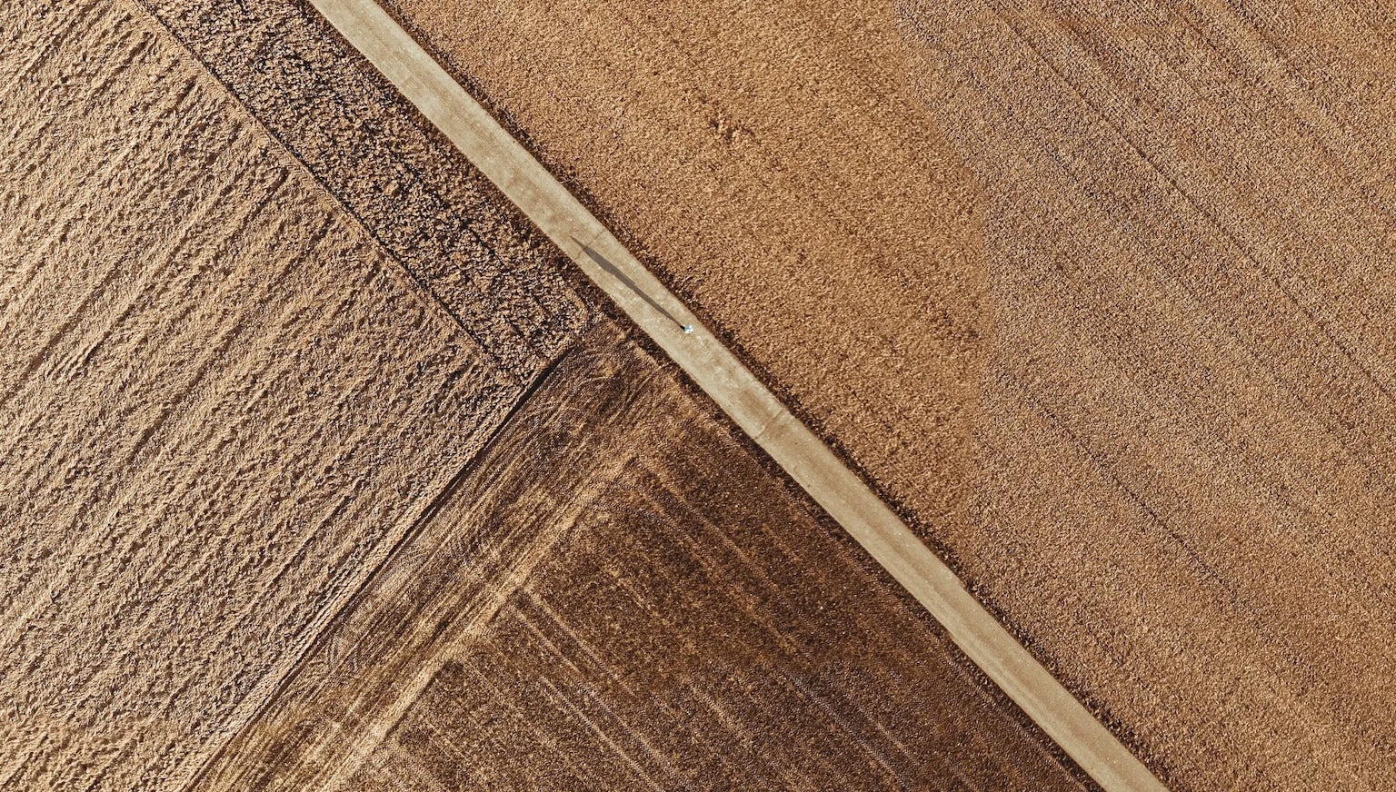 Wheat field from above