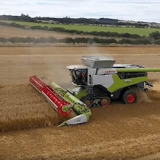 A combine harvester in Northumberland in action harvesting grain
